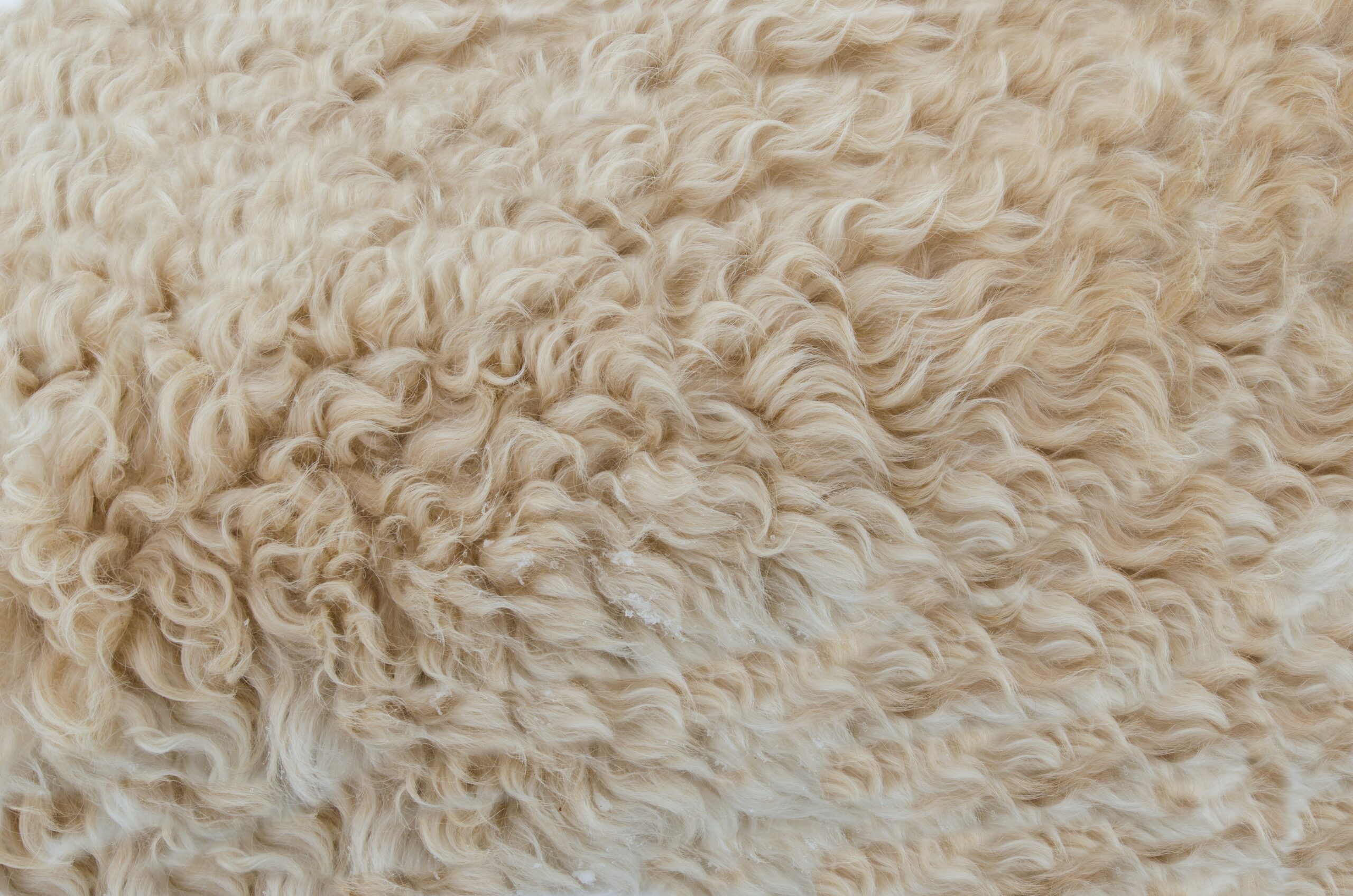 Varför är ull ett så bra material?