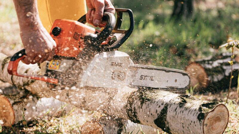 Vilken Arboristutrustning är mest avgörande: Klätterrep, motorsågskedja eller karbinhake?