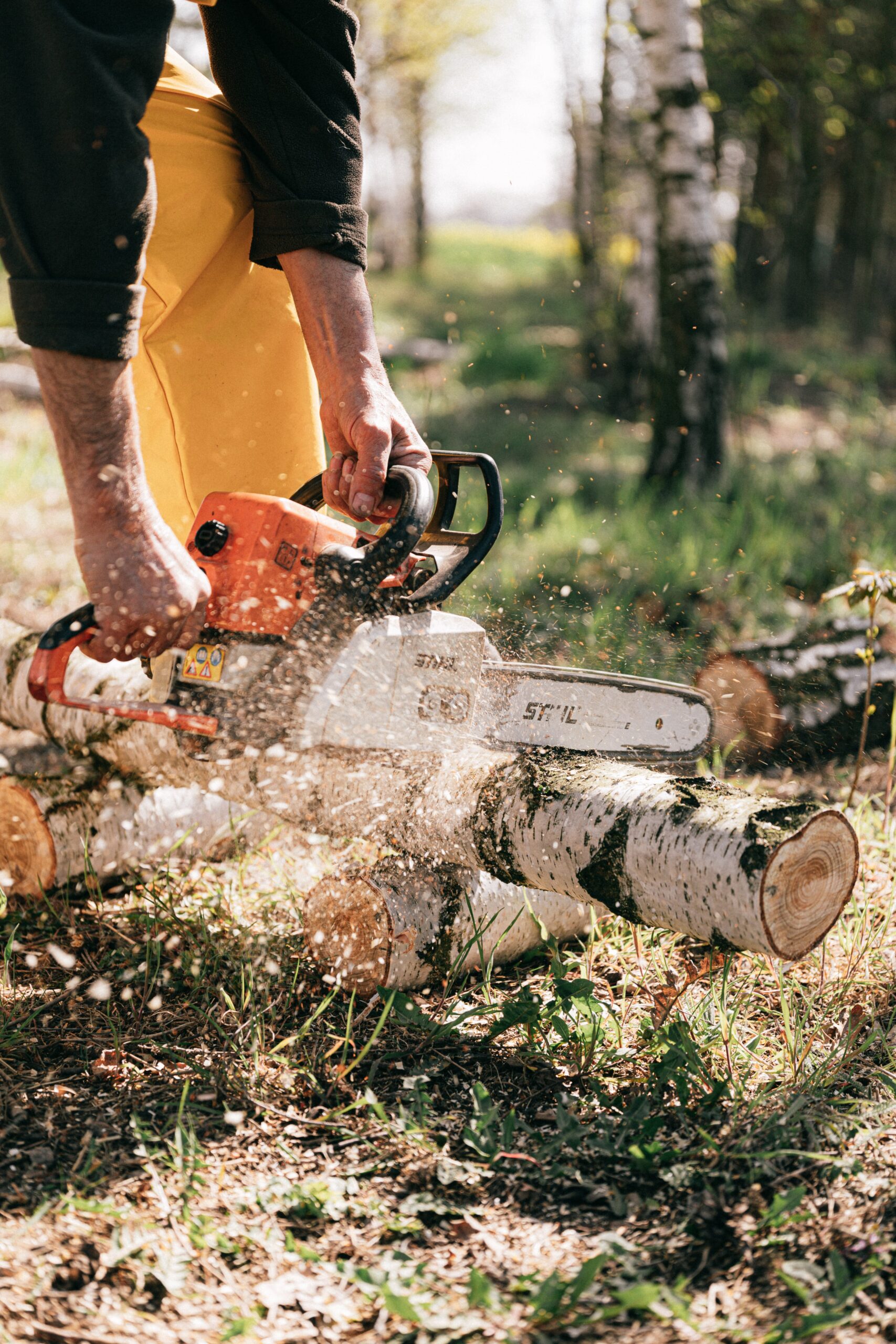 Vilken Arboristutrustning är mest avgörande: Klätterrep, motorsågskedja eller karbinhake?