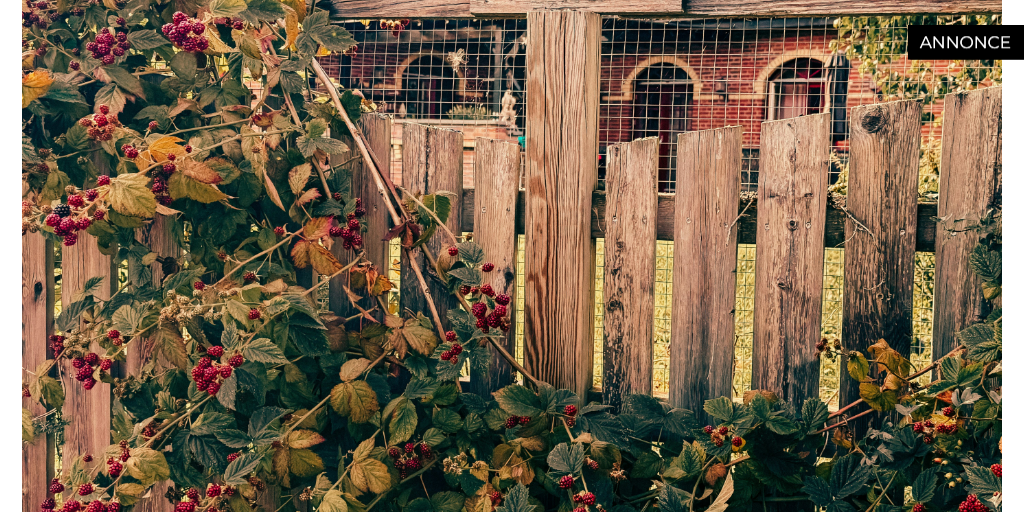 Guide till val och lagar kring staket för den svenska trädgården